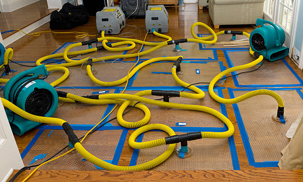 Professional Water Damage Repair technician working in East Rochester, OH
